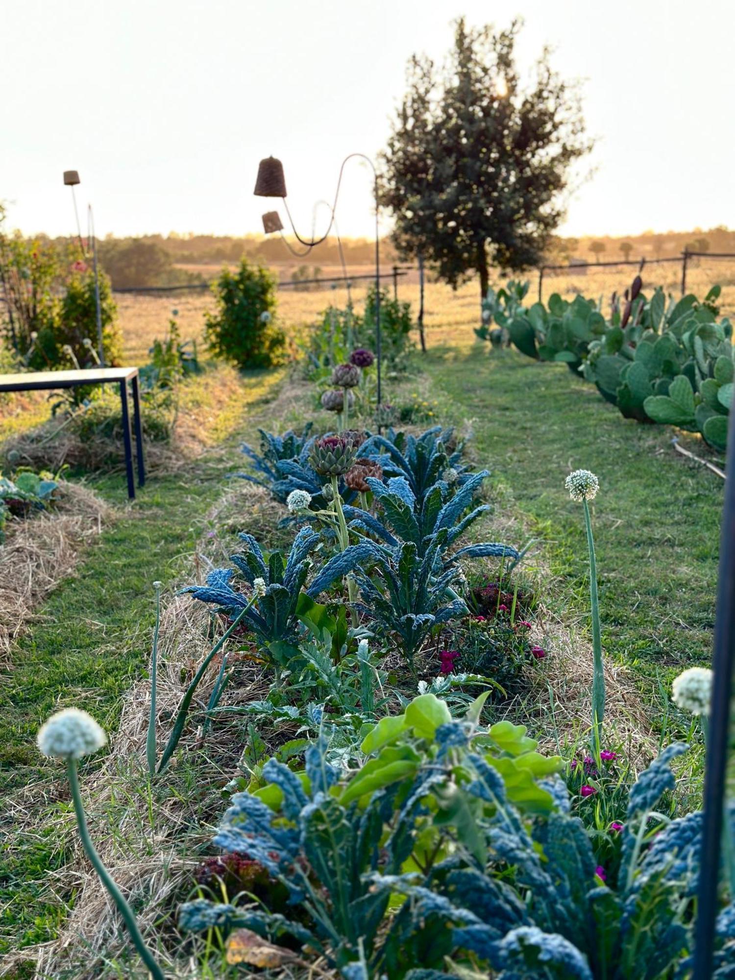 Tenuta Di Paternostro Vetralla Exterior photo