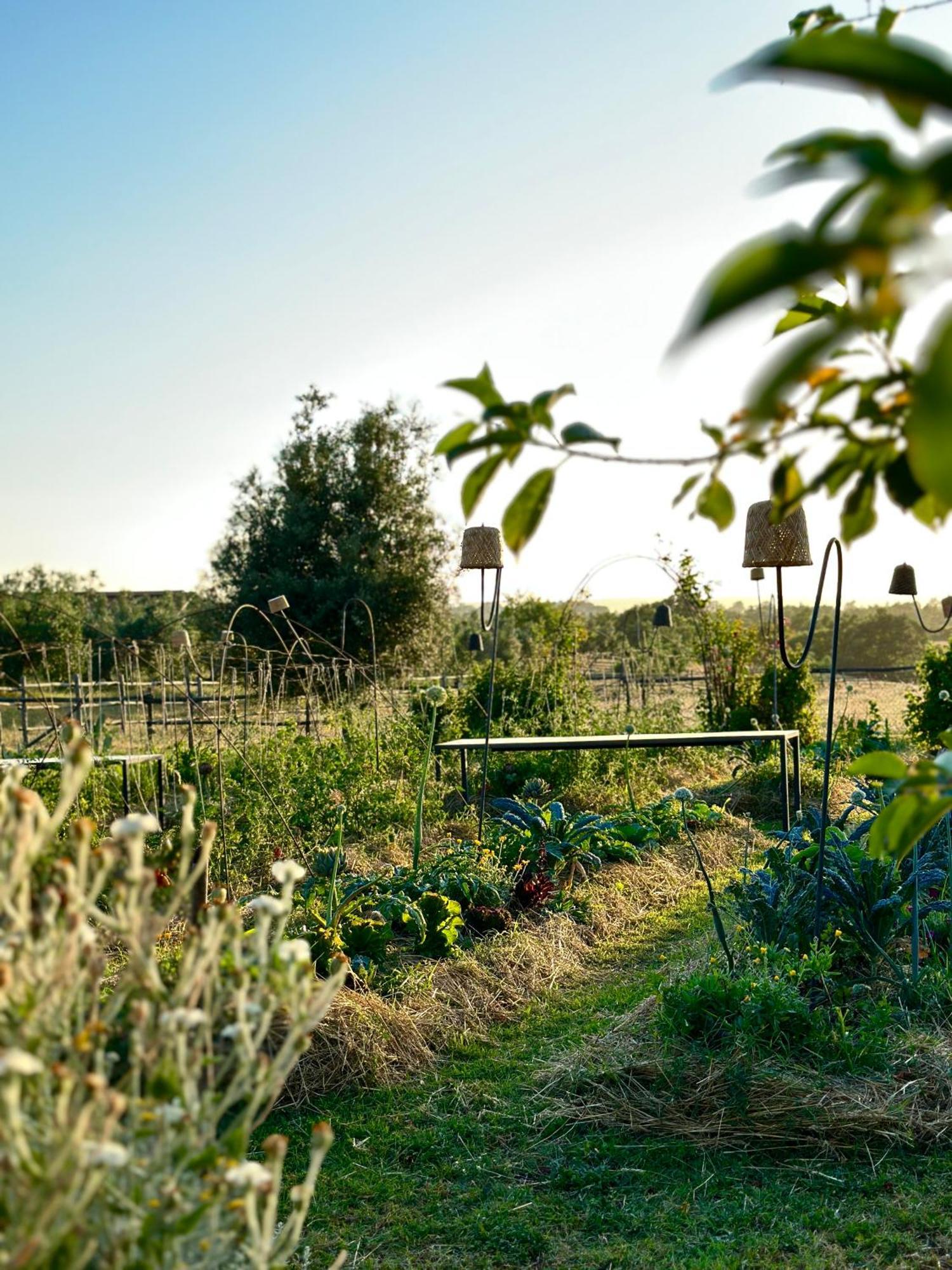 Tenuta Di Paternostro Vetralla Exterior photo
